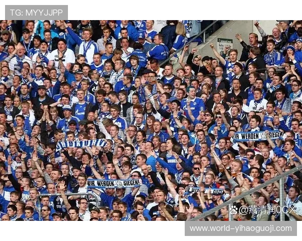 水晶宫俱乐部崛起之路与英超赛场辉煌历程揭秘